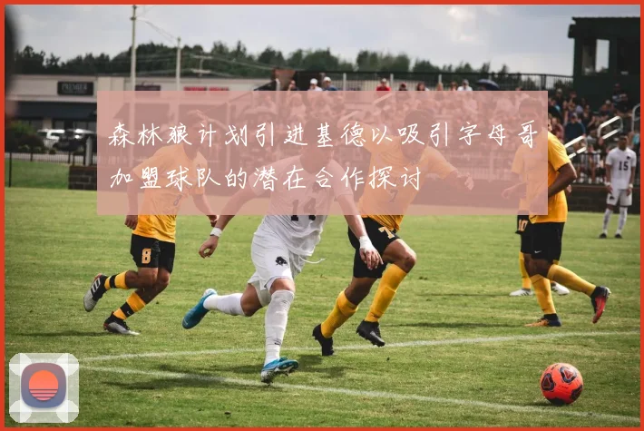 森林狼计划引进基德以吸引字母哥加盟球队的潜在合作探讨